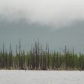 Курейское море
