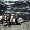 Курейка - 1979г.