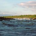 Бурная Курейка