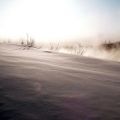 Фото #8