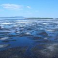 Курейка во льду