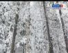 Соболятники (часть 2)